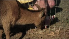 Floribama Shore - Season 04 Episdoe 22